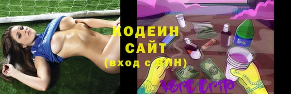 твердый Сясьстрой