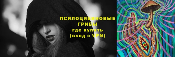 ПСИЛОЦИБИНОВЫЕ ГРИБЫ Тихвин