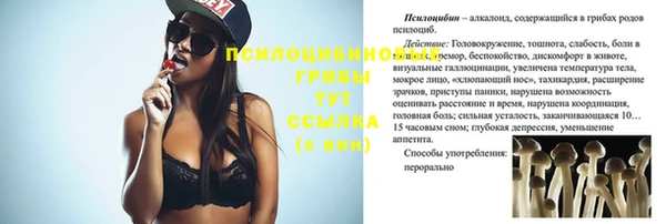 тгк Тобольск