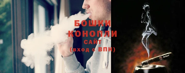 ПСИЛОЦИБИНОВЫЕ ГРИБЫ Тихвин