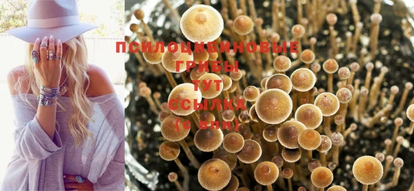 ПСИЛОЦИБИНОВЫЕ ГРИБЫ Тихвин