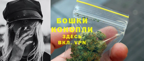 индика Тихорецк