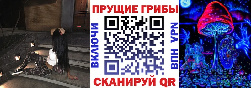купить   Горячеводский  Галлюциногенные грибы Psilocybine cubensis 